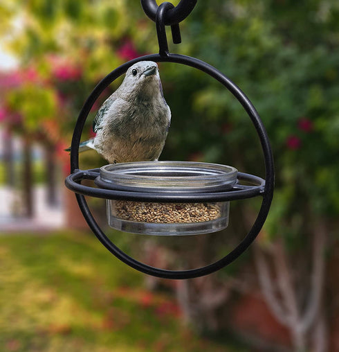 Zazu Black Steel Bird Feeder with Clear Bowl